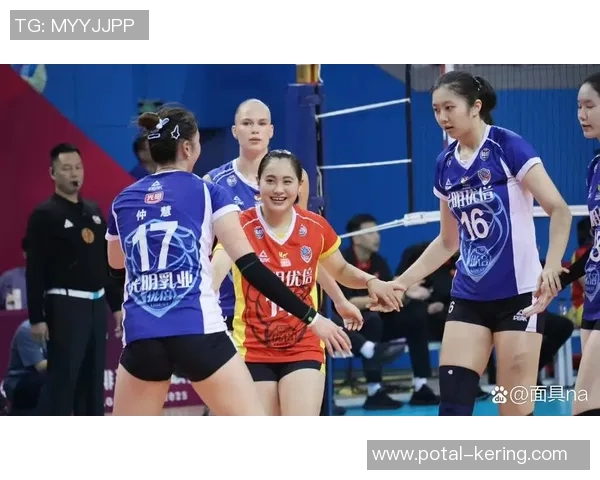 上海排球队实力飙升再创佳绩引发全国关注与热议