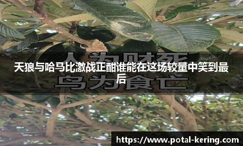 天狼与哈马比激战正酣谁能在这场较量中笑到最后