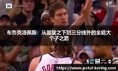 布鲁克洛佩斯：从篮筐之下到三分线外的全能大个子之路